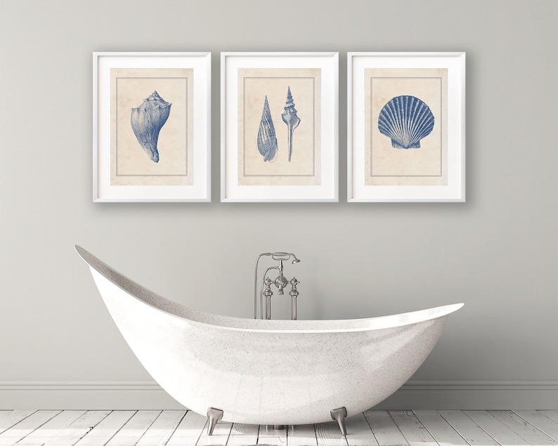 Vintage Bathroom Print Set Vinatge Seashell Prints Set of 3 Etsy