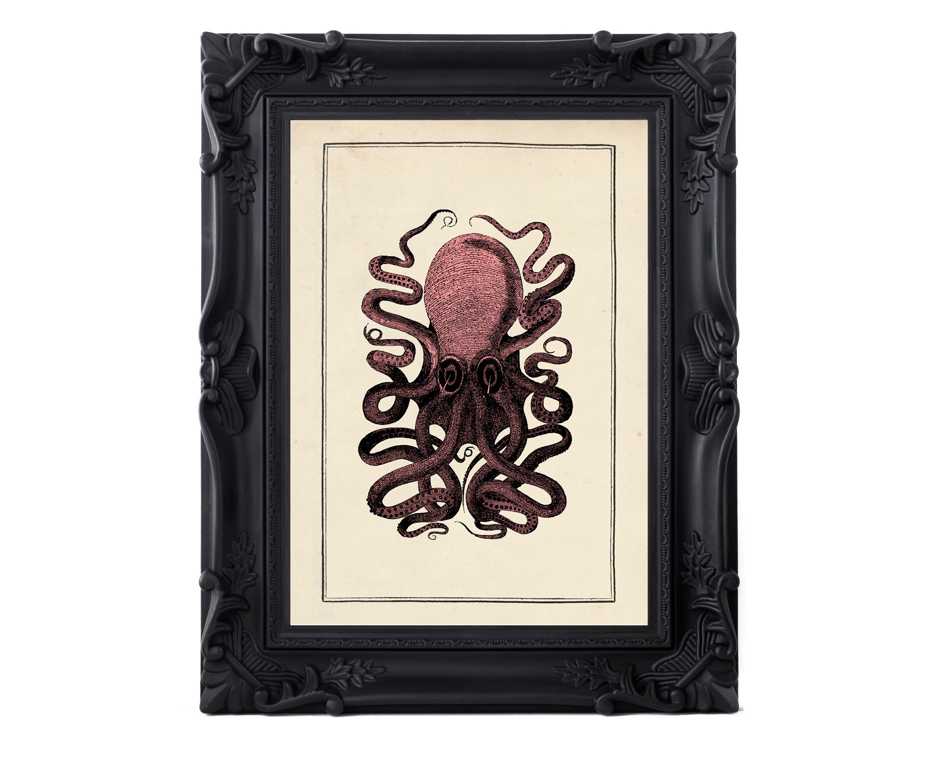 Vintage Bathroom Print Set Antique Sealife Prints Set of 3 Etsy UK