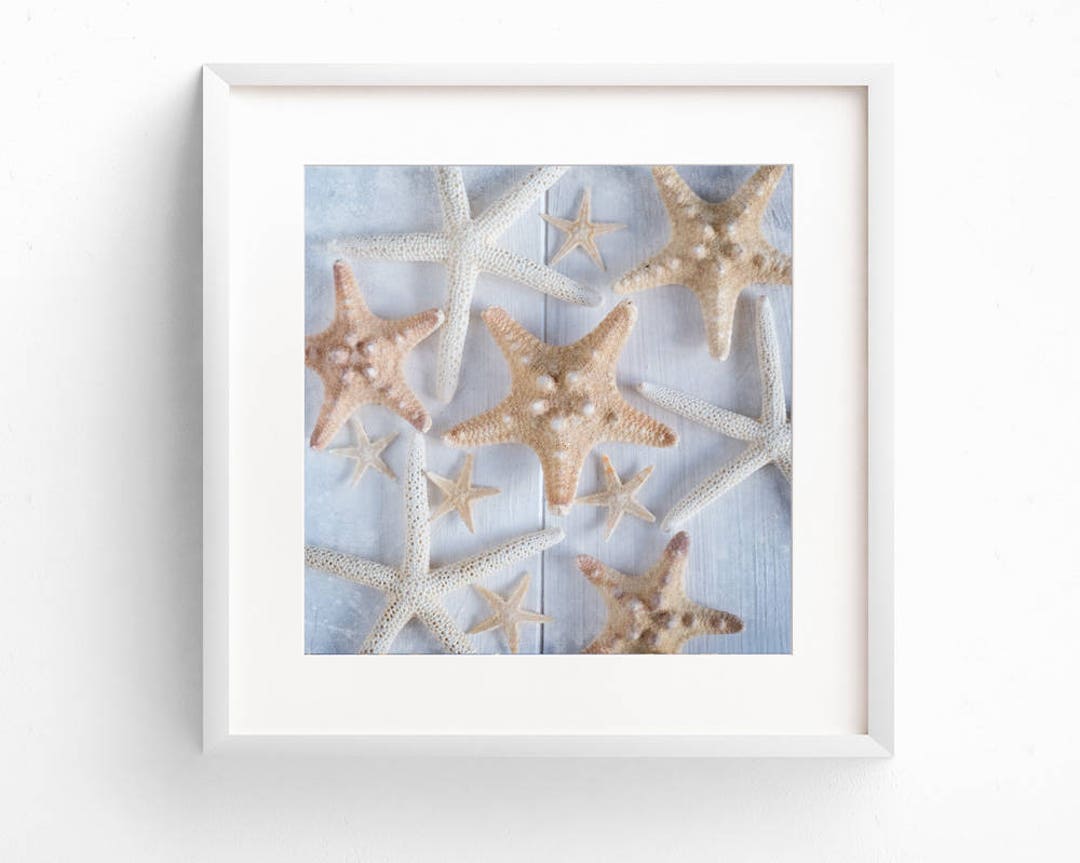 Starfish Art Beach House Decor Coastal Decor Bathroom Wall Art Nautical