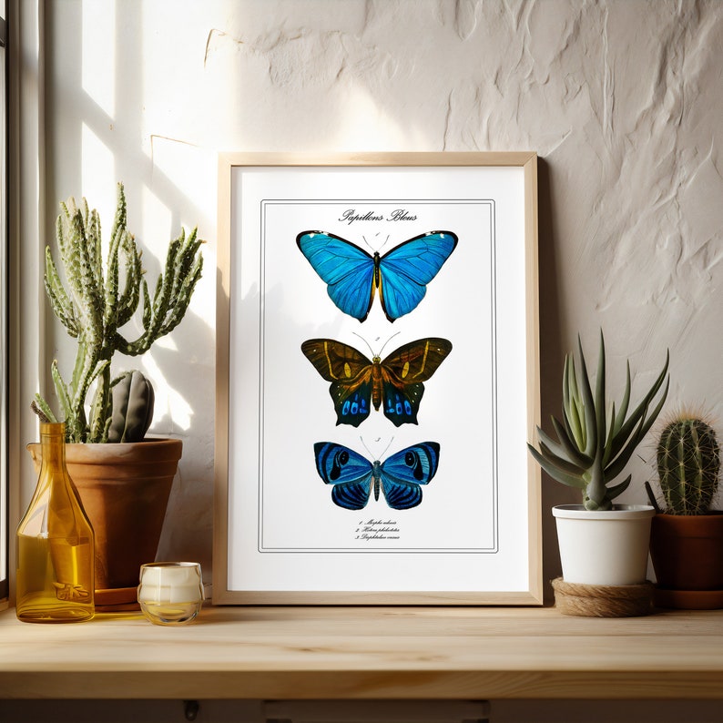 Pu&ograve; includere: Una stampa incorniciata di tre farfalle con il titolo "Papillons Bleus" in alto. Le farfalle sono blu, marroni e nere con accenti bianchi. La stampa &egrave; su sfondo bianco e ha una cornice in legno chiaro.