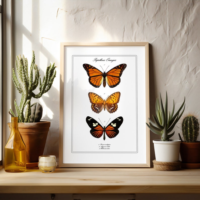 May include: A framed print of three butterflies with the title "Rhopalocera Oranges" at the top. The butterflies are a monarch butterfly, a swallowtail butterfly, and a black and white butterfly.