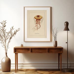 Väggkonst med havsliv för kustdekor, retro badrumstryck med havstema, vintage manetposter, naturhistorisk illustration, strandhusstämning bild 9