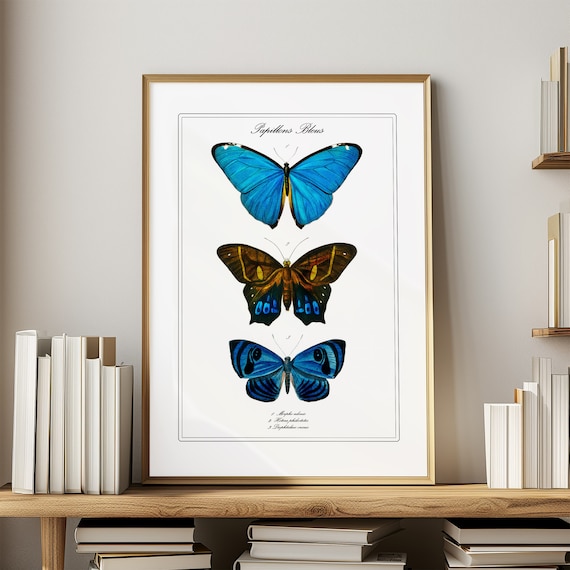 Vintage Butterfly Wall Decor Blue Morpho Butterfly Print for Maximalist Decor Science Gift for Dark Academia Wall Art Gift for New Apartment