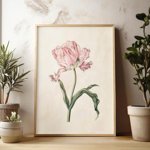 Botanisk väggkonst Vintage tulpantryck Vårdekoration Vardagsrumsinredning oramad Rosa Röd Blomma Naturkonst Sovrum Heminredning Blommor bild 3