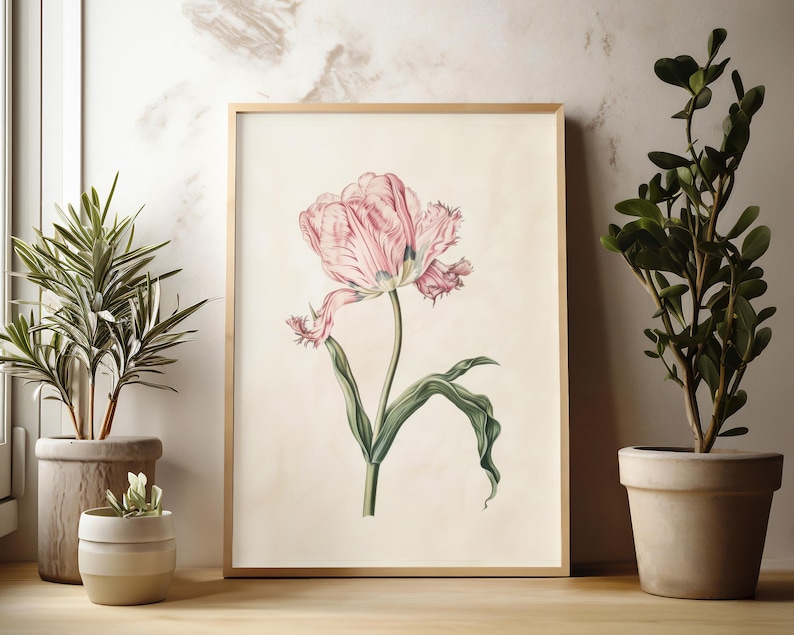 Botanisk väggkonst Vintage tulpantryck Vårdekoration Vardagsrumsinredning oramad Rosa Röd Blomma Naturkonst Sovrum Heminredning Blommor bild 3