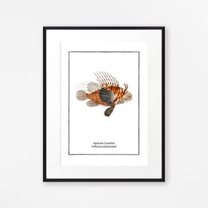 Set of 4 Vintage Fish Prints, Tropical Fish Minimalist Wall Art image 4