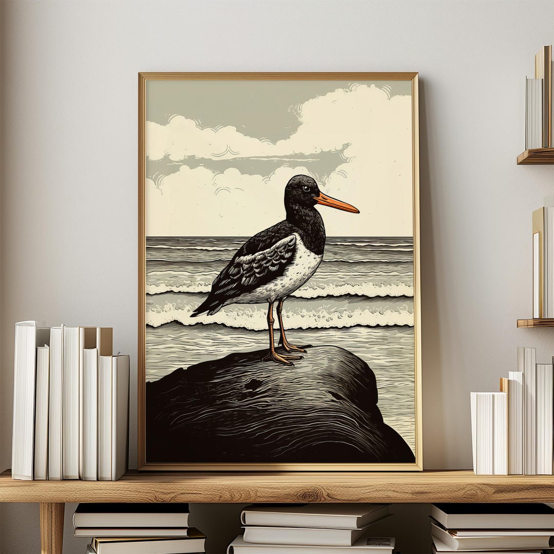 Coastal Wall Art Beach House Decor Vintage Bird Print Oystercatcher ...