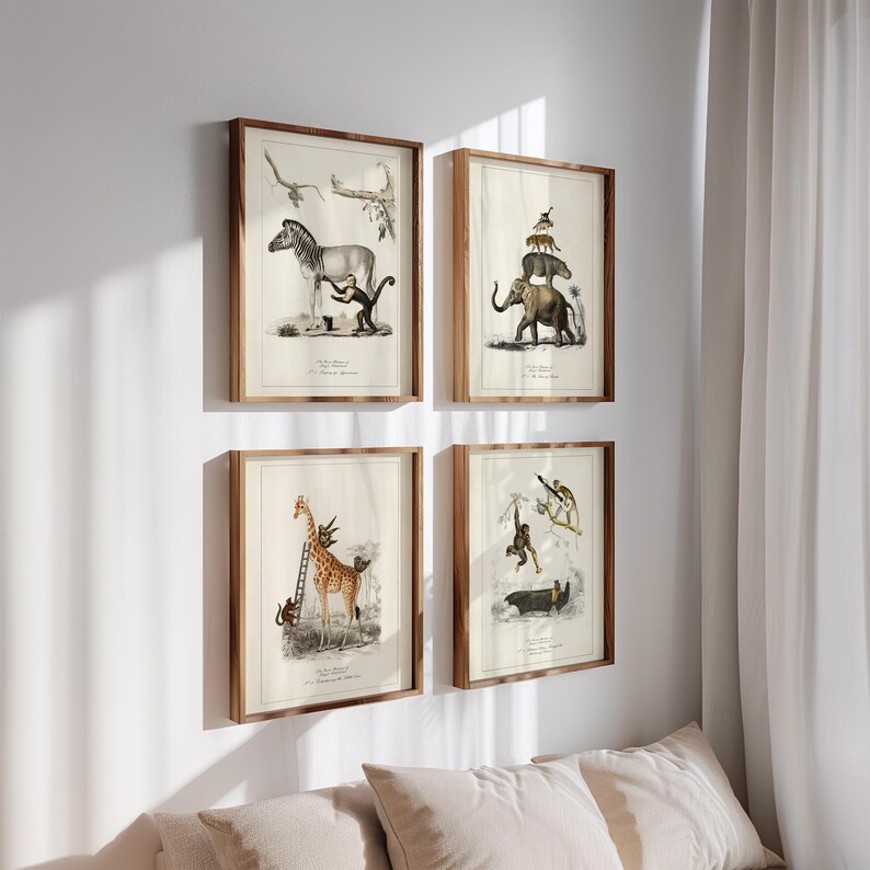 May include: Four framed animal prints with brown wooden frames hang on a white wall. The prints feature vintage illustrations of a zebra, elephant, giraffe, and monkey. The illustrations are in black and white with some color accents.