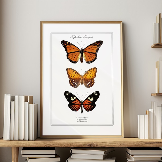 Butterfly Wall Art Vintage Nature Print Orange Butterfly Wall Decor Science Art for Maximalist Interior Nature Lover Gift