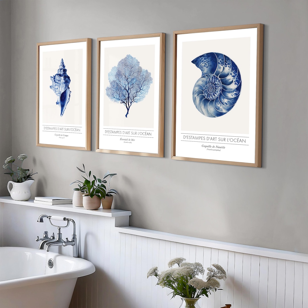 Blue Coastal Wall Art Set of 3 Sea Shell Prints for Beach House ...