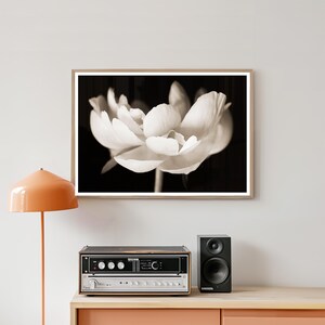 May include: Sepia-toned photograph of a large, open flower in a wooden frame. The flower's petals are soft and textured against a dark background. The image is mounted above a stereo receiver and speaker.