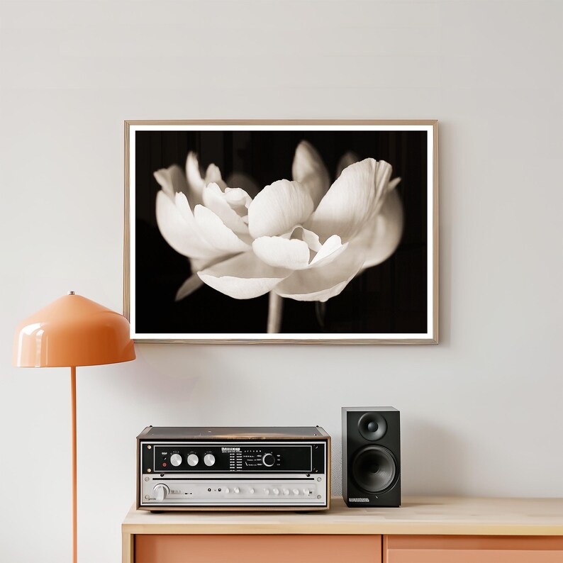May include: Sepia-toned photograph of a large, open flower in a wooden frame. The flower's petals are soft and textured against a dark background. The image is mounted above a stereo receiver and speaker.