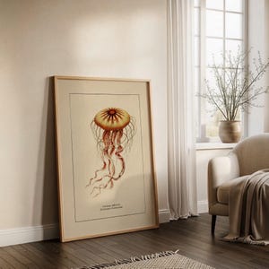 Väggkonst med havsliv för kustdekor, retro badrumstryck med havstema, vintage manetposter, naturhistorisk illustration, strandhusstämning bild 13