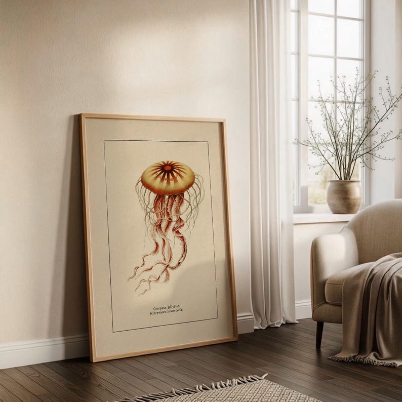 Väggkonst med havsliv för kustdekor, retro badrumstryck med havstema, vintage manetposter, naturhistorisk illustration, strandhusstämning bild 13
