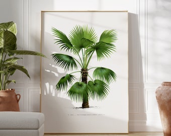Piante orchidee, palme vintage arte da parete, decorazione tropicale, palme tropicali, arte da parete floreale antica, arte vintage tropicale perfetta decorazione da parete per soggiorno, camera da