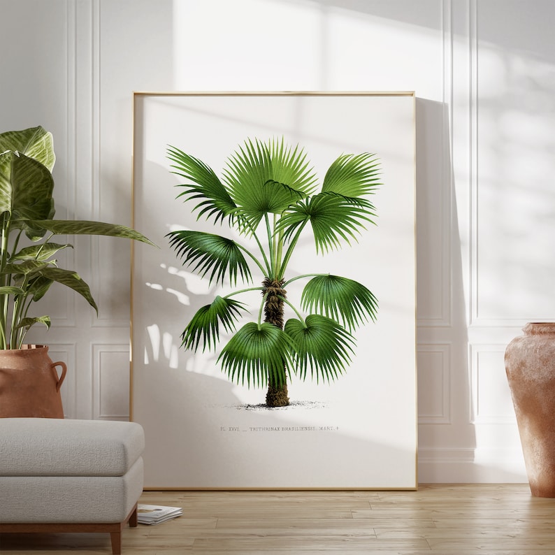 May include: A vintage botanical illustration of a green palm tree with the text "F. EXCEL - TRINITARIAS MART. 1" at the bottom.