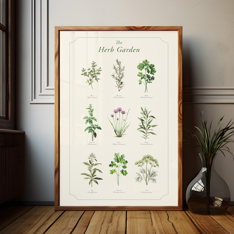 botanical herb prints set of 4 unframed botanical herb... Herb Wall Art Botanical Print Kitchen Decor Cooking Room Culinary ...