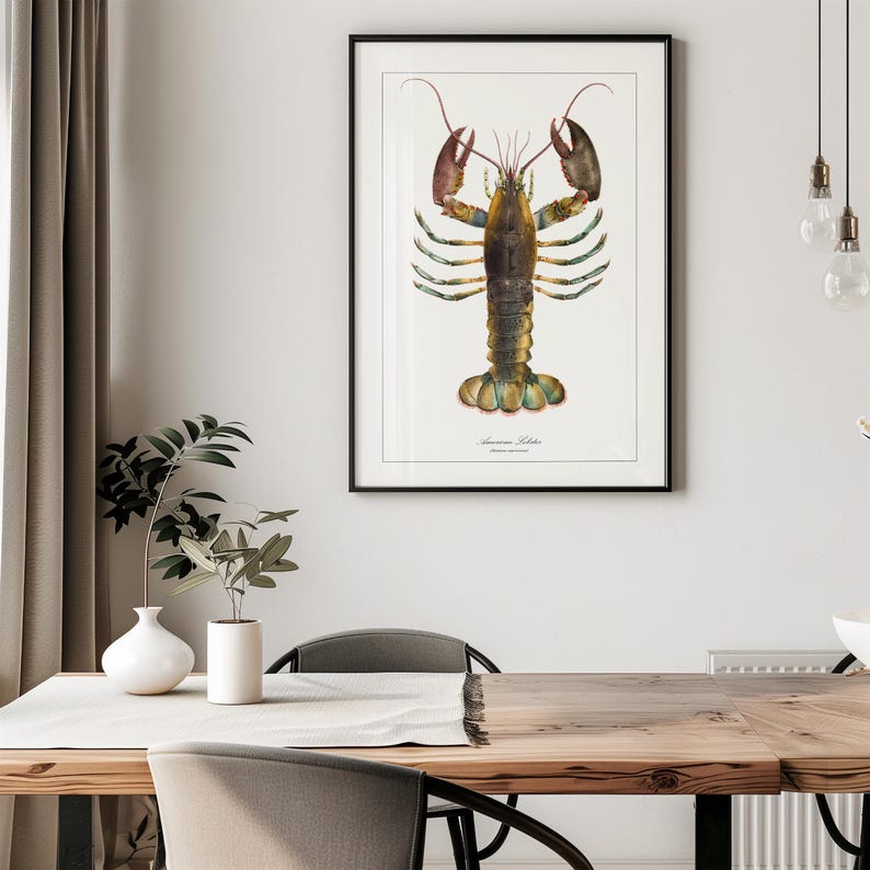 May include: A vintage illustration of a lobster with brown, green, and yellow coloring. The illustration is framed in a black frame and hanging on a white wall.