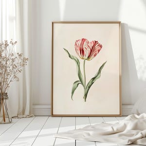 Botanisk väggkonst Vintage tulpantryck Vårdekoration Vardagsrumsinredning oramad Rosa Röd Blomma Naturkonst Sovrum Heminredning Blommor bild 7