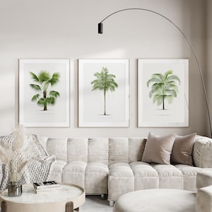 May include: Three framed botanical prints of palm trees with green leaves against a white background. The prints are hanging on a white wall above a white sofa.