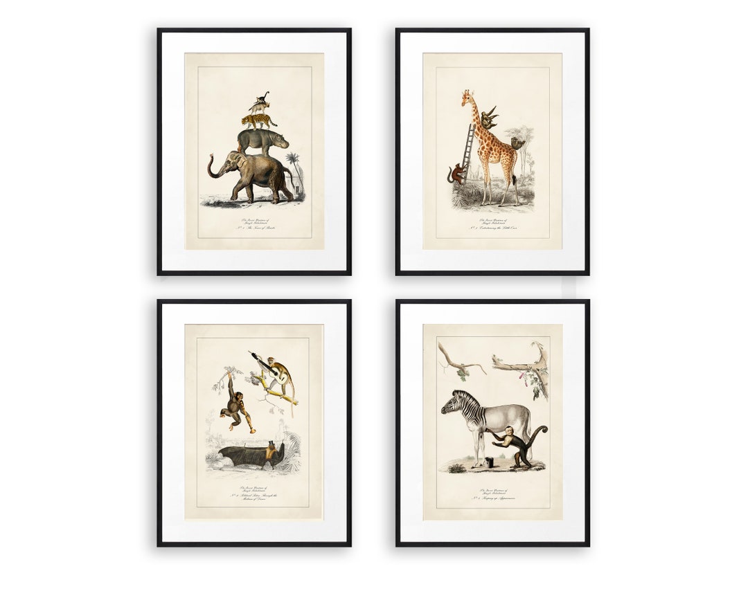 Funny Animal Prints Vintage Animal Art Set of 4 Prints Surreal Animal