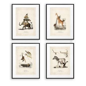 Lustige Tierdrucke Vintage Tier Art 4er Set Drucke surreales Tier Kunst Dschungel Dekor Dschungel-Wand-Kunst surreale Collage