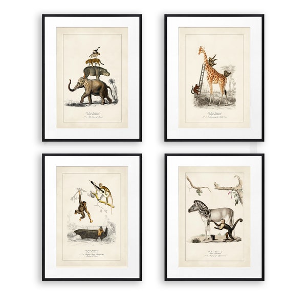 Funny Animal Prints, Vintage Animal Art, Set of 4 Prints, Surreal Animal Art, Jungle Decor, Jungle Wall Art, Surreal Collage