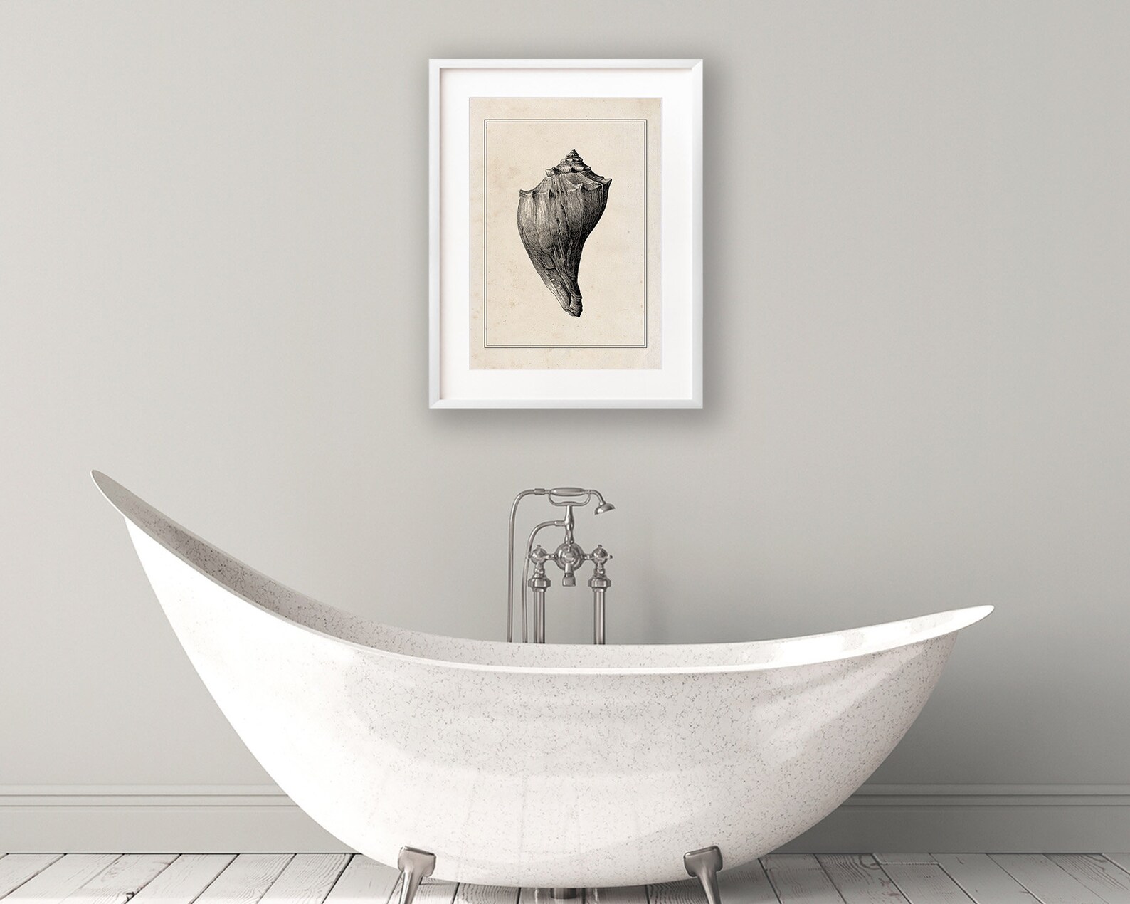 Vintage Sea Shell Print Bathroom Wall Art Classic Coastal - Etsy