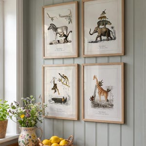 May include: Four framed animal prints hang on a light blue wall. The prints feature detailed illustrations of a zebra with a monkey, an elephant with stacked animals, monkeys, and a giraffe with a ladder. The frames are light wood.