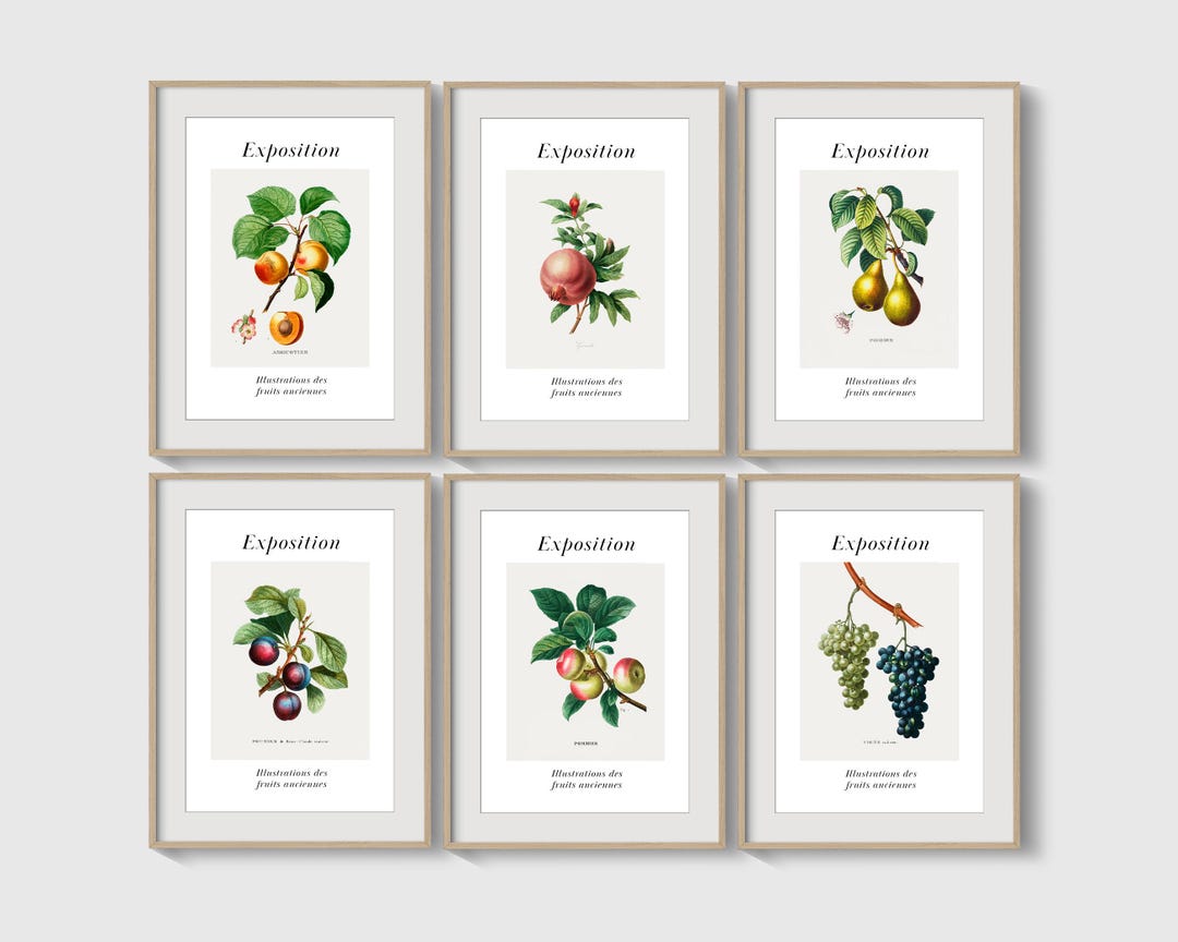 kitchen gallery wall art set of 6, vintage fruit... Kitchen Wall Art Vintage Fruit Illustration Set of 6 Prints for Dining ...