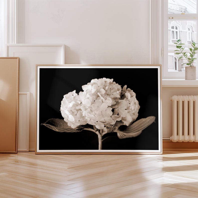 May include: Sepia-toned framed print featuring a close-up of a hydrangea flower. The large, spherical bloom is composed of numerous small, white florets. The image is set against a black background, with the flower's stem and leaves visible.