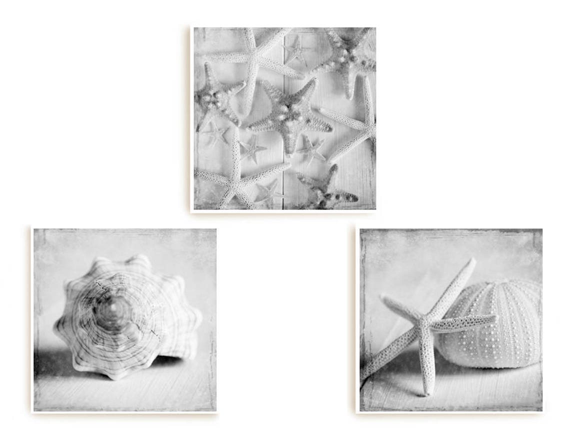 Sea Shell Prints Coastal Decor Set 3 Prints Starfish Art Bathroom Wall ...