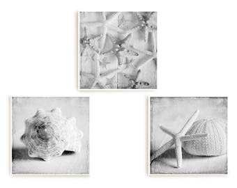 Sea Shell Prints Coastal Decor Set 3 Prints Starfish Art Bathroom Wall Art Beach House Decor, Sea Shell Wall Art, Nautical Art