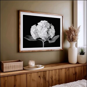May include: Black and white framed print of a hydrangea flower. The floral artwork is displayed on a wall above a wooden surface. A white vase with dried plants and a small potted plant are next to the framed print.
