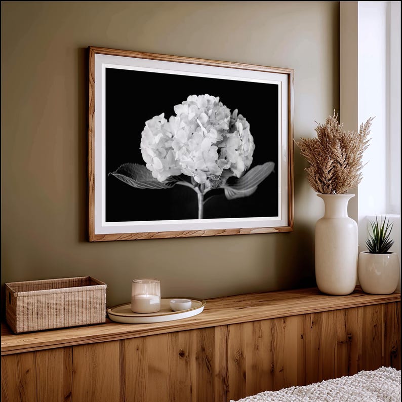 May include: Black and white framed print of a hydrangea flower. The floral artwork is displayed on a wall above a wooden surface. A white vase with dried plants and a small potted plant are next to the framed print.