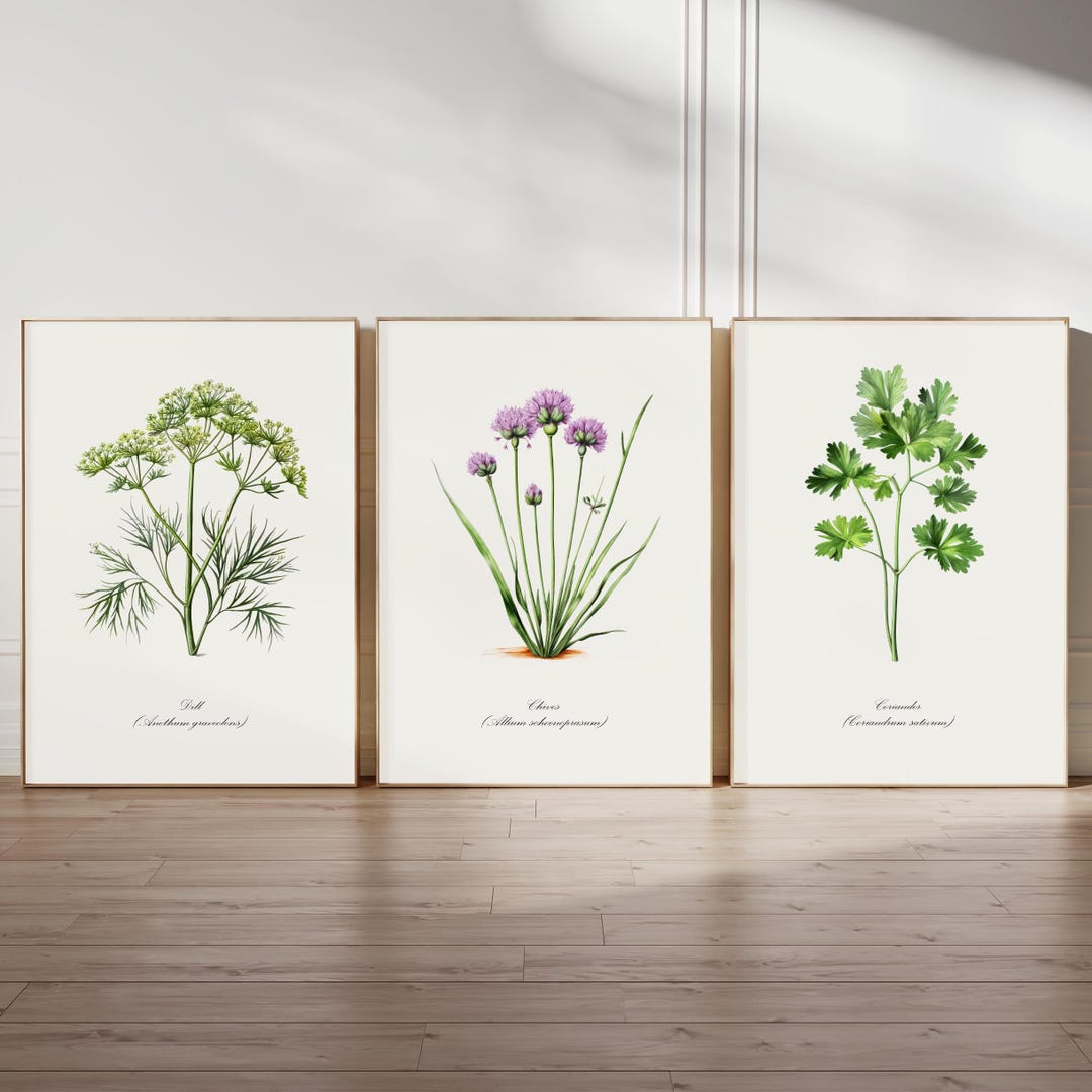 Botanical Herb Wall Art for Rustic Kitchen Green Decor Ideas for Herb ...