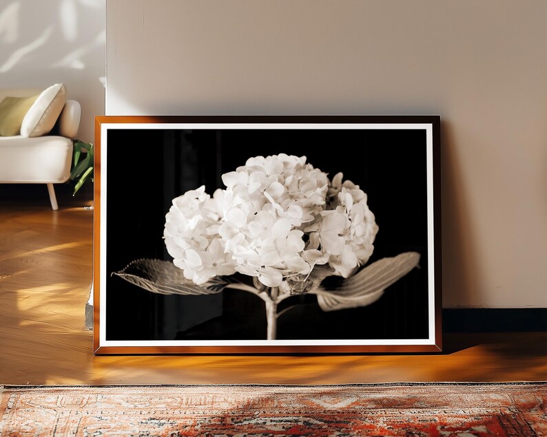 May include: A framed black and white photograph of a hydrangea flower. The flower is in full bloom, with large, clustered white petals. The photograph is in a brown wooden frame, leaning against a wall.