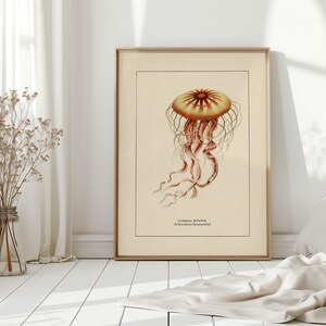 Väggkonst med havsliv för kustdekor, retro badrumstryck med havstema, vintage manetposter, naturhistorisk illustration, strandhusstämning bild 14