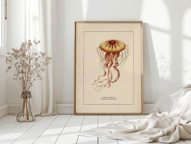 Väggkonst med havsliv för kustdekor, retro badrumstryck med havstema, vintage manetposter, naturhistorisk illustration, strandhusstämning bild 14