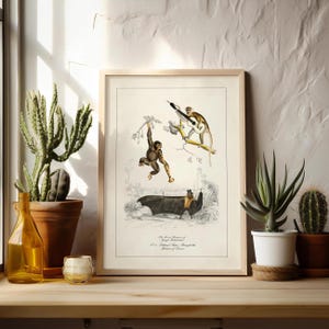 May include: A framed vintage print featuring illustrations of monkeys and a bat. The artwork is in a wooden frame and includes text at the bottom. The print is displayed on a wooden surface with plants and a decorative bottle in the foreground.
