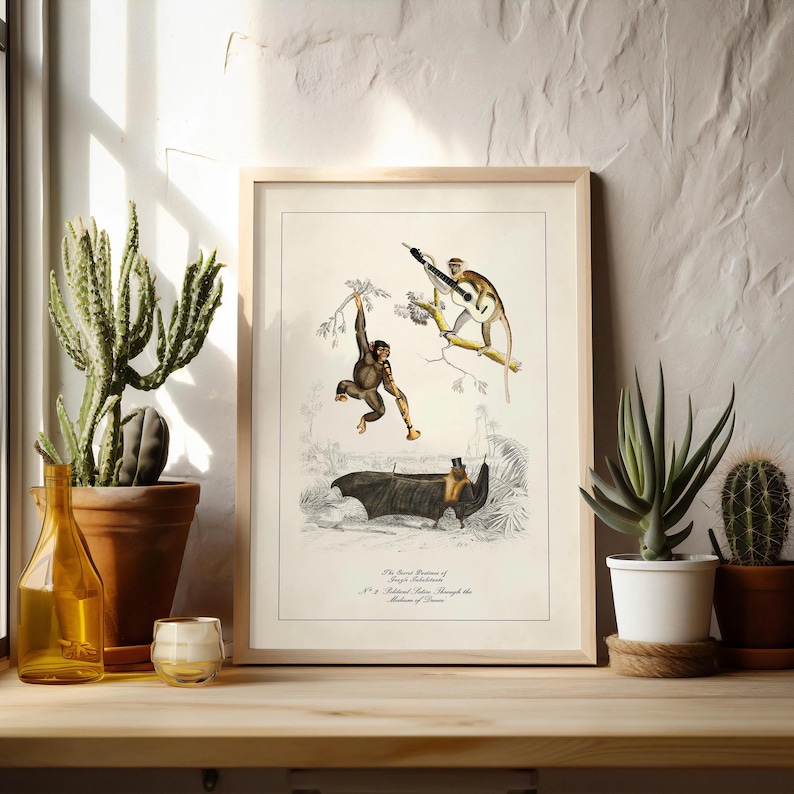 May include: A framed vintage print featuring illustrations of monkeys and a bat. The artwork is in a wooden frame and includes text at the bottom. The print is displayed on a wooden surface with plants and a decorative bottle in the foreground.