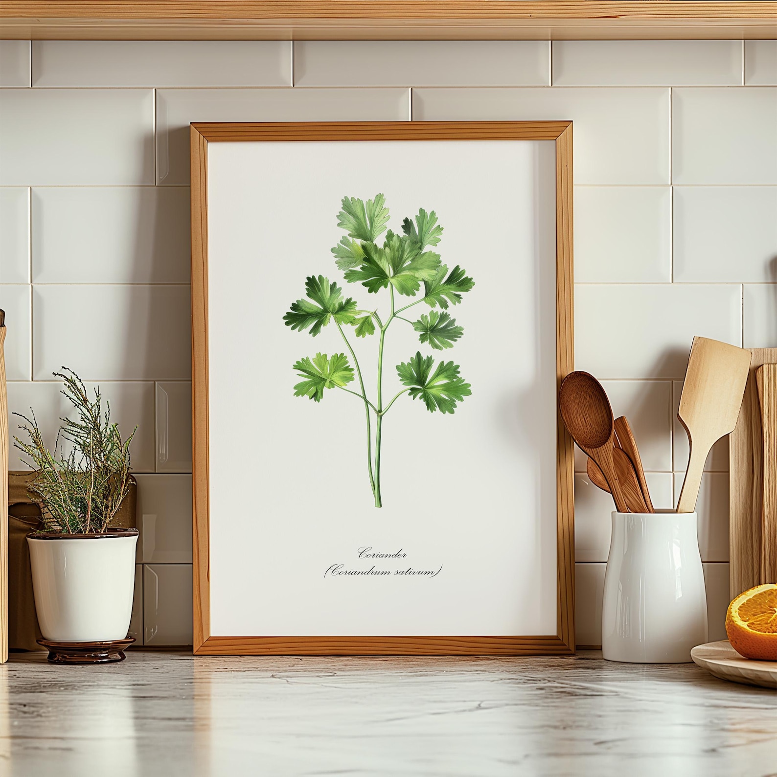 Vintage Kitchen Wall Art Herb Plant Paintings Set of 6 Prints for ...