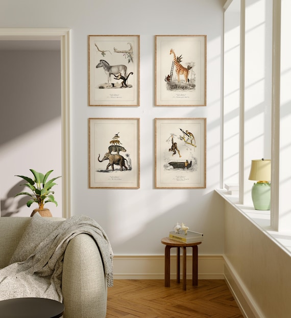 Funny Animal Prints Vintage Animal Art Set of 4 Prints Surreal Animal Art Jungle Decor Jungle Wall Art Surreal Collage