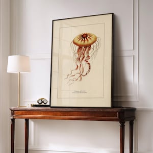 Väggkonst med havsliv för kustdekor, retro badrumstryck med havstema, vintage manetposter, naturhistorisk illustration, strandhusstämning bild 11