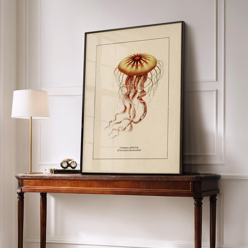 Väggkonst med havsliv för kustdekor, retro badrumstryck med havstema, vintage manetposter, naturhistorisk illustration, strandhusstämning bild 11
