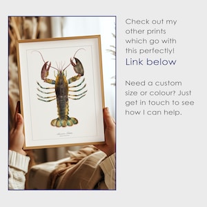May include: A framed illustration of a lobster with a detailed, colorful depiction of its body and claws. The illustration is on a white background with the text "American Lobster" printed below.