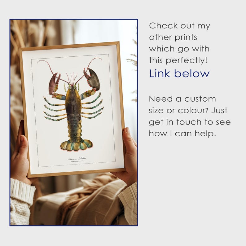 May include: A framed illustration of a lobster with a detailed, colorful depiction of its body and claws. The illustration is on a white background with the text "American Lobster" printed below.