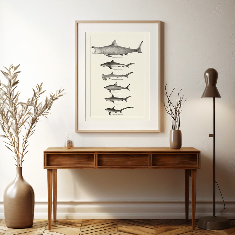 Vintage Shark Wall Art for Neutral Beach House Decor  or Vintage Bathroom Wall Art Hammerhead Shark Gift