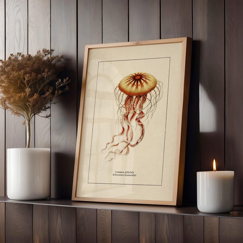 Väggkonst med havsliv för kustdekor, retro badrumstryck med havstema, vintage manetposter, naturhistorisk illustration, strandhusstämning bild 8
