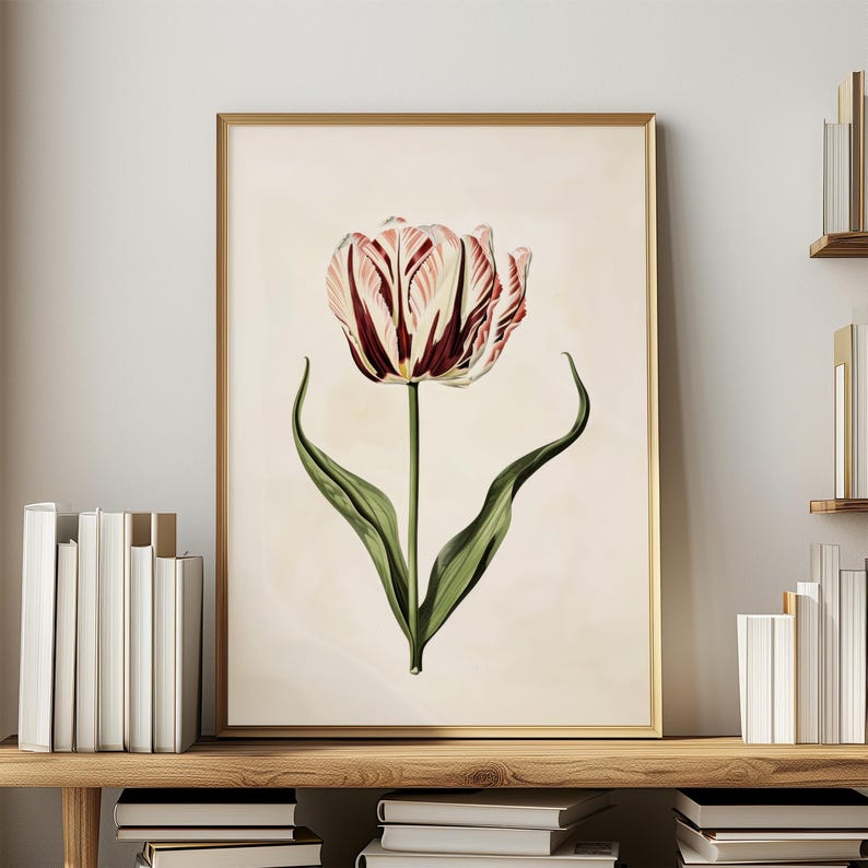 Botanisk väggkonst Vintage tulpantryck Vårdekoration Vardagsrumsinredning oramad Rosa Röd Blomma Naturkonst Sovrum Heminredning Blommor bild 9